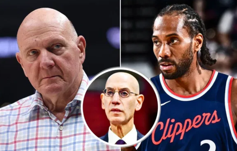 广告相关内, 提交的材料, 识的内容